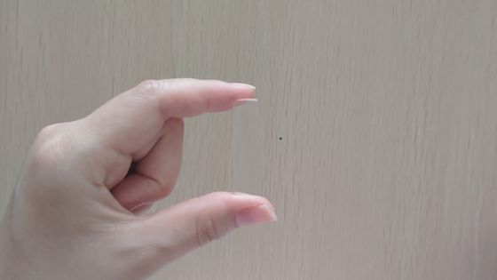 Convex Lens BK7 Optical Glass Cylindrical Plano Convex Lens For Optical Instruments